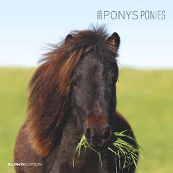 Ponys 2024 – Broschürenkalender 30×30 cm (30×60 geöffnet) – Kalender mit Platz für Notizen – Ponies – Bildkalender – Wandplaner – Pferdekalender