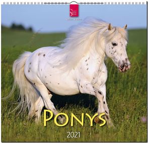 Ponys von Stuewer,  Sabine