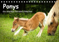 Ponys, die starken Persönlichkeiten (Tischkalender 2023 DIN A5 quer) von Seiboth,  Berit