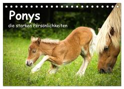 Ponys, die starken Persönlichkeiten (Tischkalender 2024 DIN A5 quer), CALVENDO Monatskalender von Seiboth,  Berit