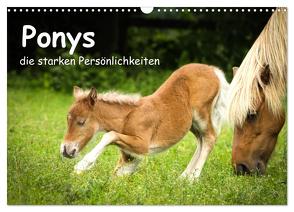 Ponys, die starken Persönlichkeiten (Wandkalender 2024 DIN A3 quer), CALVENDO Monatskalender von Seiboth,  Berit