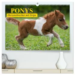 Ponys. Herzensbrecher mit Grips (hochwertiger Premium Wandkalender 2024 DIN A2 quer), Kunstdruck in Hochglanz von Stanzer,  Elisabeth