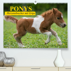 Ponys. Herzensbrecher mit Grips (Premium, hochwertiger DIN A2 Wandkalender 2022, Kunstdruck in Hochglanz) von Stanzer,  Elisabeth