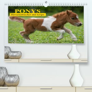 Ponys. Herzensbrecher mit Grips (Premium, hochwertiger DIN A2 Wandkalender 2023, Kunstdruck in Hochglanz) von Stanzer,  Elisabeth