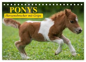 Ponys. Herzensbrecher mit Grips (Tischkalender 2024 DIN A5 quer), CALVENDO Monatskalender von Stanzer,  Elisabeth