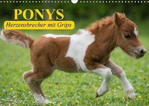 Ponys. Herzensbrecher mit Grips (Wandkalender 2018 DIN A3 quer) von Stanzer,  Elisabeth