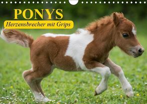 Ponys. Herzensbrecher mit Grips (Wandkalender 2019 DIN A4 quer) von Stanzer,  Elisabeth