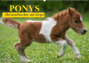 Ponys. Herzensbrecher mit Grips (Wandkalender 2022 DIN A2 quer) von Stanzer,  Elisabeth