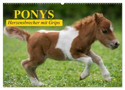 Ponys. Herzensbrecher mit Grips (Wandkalender 2024 DIN A2 quer), CALVENDO Monatskalender von Stanzer,  Elisabeth