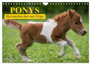 Ponys. Herzensbrecher mit Grips (Wandkalender 2024 DIN A4 quer), CALVENDO Monatskalender von Stanzer,  Elisabeth