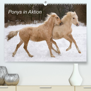 Ponys in Aktion (Premium, hochwertiger DIN A2 Wandkalender 2022, Kunstdruck in Hochglanz) von Hahn,  Günter