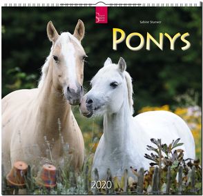Ponys von Stuewer,  Sabine