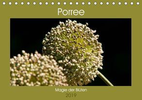 Porree – Magie der Blüten (Tischkalender 2019 DIN A5 quer) von Bölts,  Meike