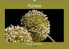 Porree – Magie der Blüten (Wandkalender 2019 DIN A2 quer) von Bölts,  Meike