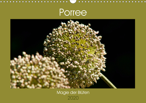 Porree – Magie der Blüten (Wandkalender 2020 DIN A3 quer) von Bölts,  Meike