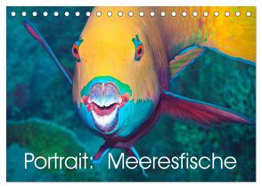 Portrait: Meeresfische (Tischkalender 2024 DIN A5 quer), CALVENDO Monatskalender von Niemann,  Ute