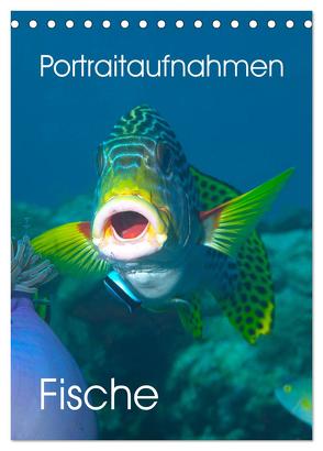 Portraitaufnahmen – Fische (Tischkalender 2024 DIN A5 hoch), CALVENDO Monatskalender von Niemann,  Ute