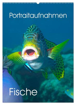 Portraitaufnahmen – Fische (Wandkalender 2024 DIN A2 hoch), CALVENDO Monatskalender von Niemann,  Ute