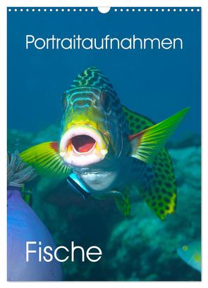 Portraitaufnahmen – Fische (Wandkalender 2024 DIN A3 hoch), CALVENDO Monatskalender von Niemann,  Ute