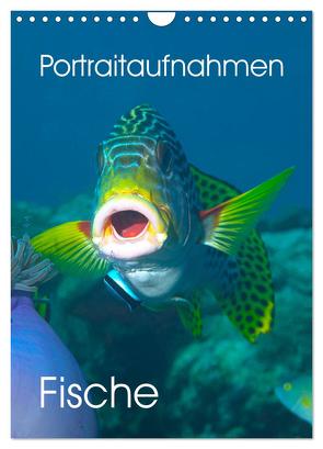 Portraitaufnahmen – Fische (Wandkalender 2024 DIN A4 hoch), CALVENDO Monatskalender von Niemann,  Ute