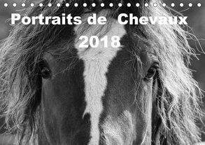 Portraits de Chevaux 2018 (Tischkalender 2018 DIN A5 quer) von vdp-fotokunst.de
