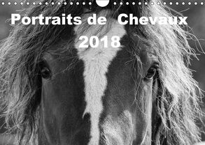 Portraits de Chevaux 2018 (Wandkalender 2018 DIN A4 quer) von vdp-fotokunst.de
