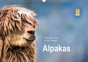 Portraits der kuscheligen Alpakas (Wandkalender 2019 DIN A3 quer) von Mentil,  Bianca