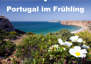 Portugal im Frühling (Wandkalender 2020 DIN A2 quer) von Akrema-Photography