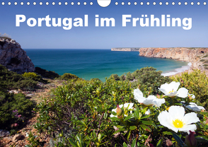 Portugal im Frühling (Wandkalender 2020 DIN A4 quer) von Akrema-Photography