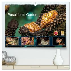 Poseidon’s Garten (hochwertiger Premium Wandkalender 2024 DIN A2 quer), Kunstdruck in Hochglanz von & Tilo Kühnast - NaturePicsFilms,  Yvonne