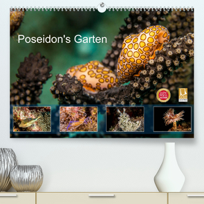 Poseidon’s Garten (Premium, hochwertiger DIN A2 Wandkalender 2022, Kunstdruck in Hochglanz) von & Tilo Kühnast - NaturePicsFilms,  Yvonne