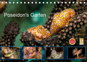Poseidon’s Garten (Tischkalender 2023 DIN A5 quer) von & Tilo Kühnast - NaturePicsFilms,  Yvonne