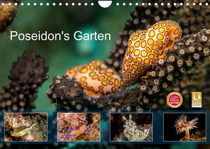 Poseidon’s Garten (Wandkalender 2023 DIN A4 quer) von & Tilo Kühnast - NaturePicsFilms,  Yvonne