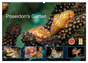 Poseidon’s Garten (Wandkalender 2024 DIN A2 quer), CALVENDO Monatskalender von & Tilo Kühnast - NaturePicsFilms,  Yvonne