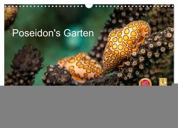 Poseidon’s Garten (Wandkalender 2024 DIN A3 quer), CALVENDO Monatskalender von & Tilo Kühnast - NaturePicsFilms,  Yvonne