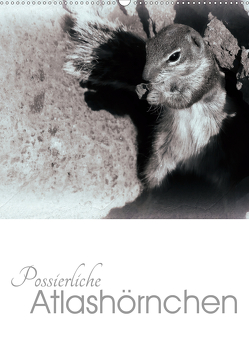 Possierliche Atlashörnchen (Wandkalender 2021 DIN A2 hoch) von M. Laube,  Lucy