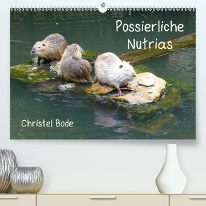 Possierliche Nutrias (Premium, hochwertiger DIN A2 Wandkalender 2020, Kunstdruck in Hochglanz) von Bode,  Christel