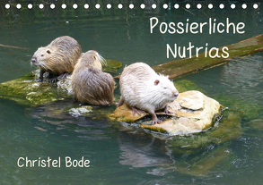 Possierliche Nutrias (Tischkalender 2020 DIN A5 quer) von Bode,  Christel