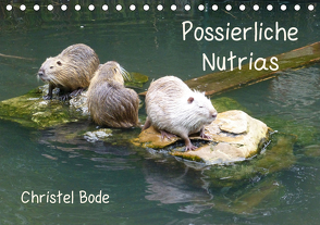 Possierliche Nutrias (Tischkalender 2021 DIN A5 quer) von Bode,  Christel