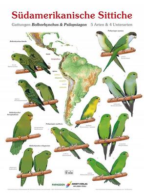 Poster Südamerikanische Sittiche 3 von Arndt,  Thomas