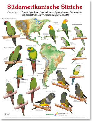 Poster Südamerikanische Sittiche 4 von Arndt,  Thomas