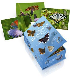 Postkartenbox 100 Schmetterlinge der Schweiz von Jost,  Benno, Wymann,  Hans-Peter