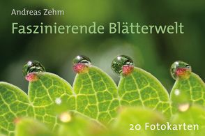 Faszinierende Blätterwelt von Zehm,  Andreas