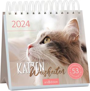 Postkartenkalender Katzenweisheiten 2024