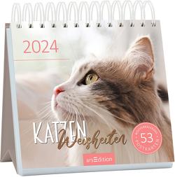 Postkartenkalender Katzenweisheiten 2024