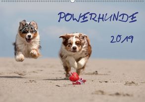 POWERHUNDE 2019 (Wandkalender 2019 DIN A2 quer) von Mirsberger,  Annett