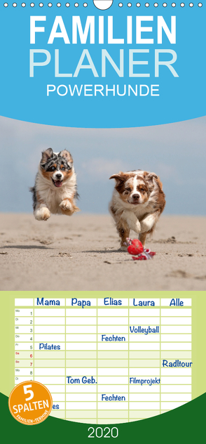 POWERHUNDE 2020 – Familienplaner hoch (Wandkalender 2020 , 21 cm x 45 cm, hoch) von Mirsberger,  Annett