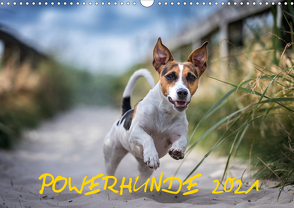 POWERHUNDE 2021 (Wandkalender 2021 DIN A3 quer) von Mirsberger,  Annett