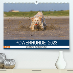 POWERHUNDE 2023 (Premium, hochwertiger DIN A2 Wandkalender 2023, Kunstdruck in Hochglanz) von Mirsberger,  Annett