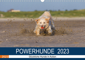 POWERHUNDE 2023 (Wandkalender 2023 DIN A3 quer) von Mirsberger,  Annett